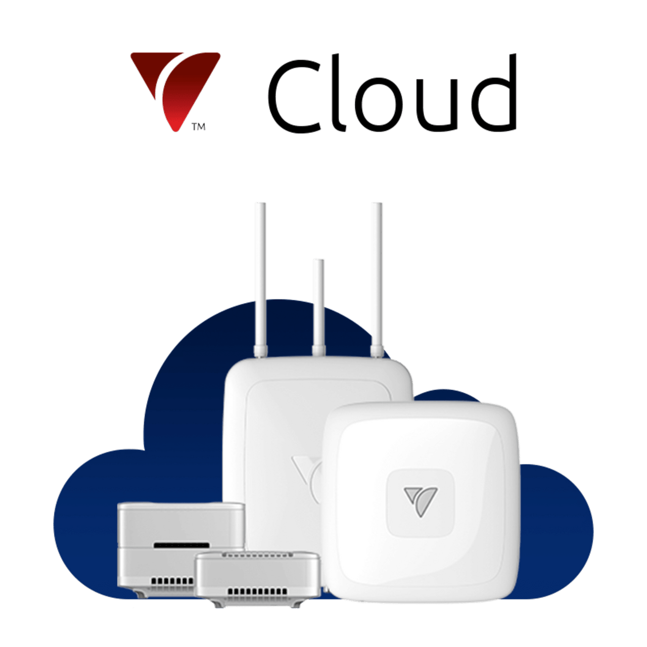 VEEA-CLOUD-1YR Servicios en la Nube de Veea por 1 año / Gestión Remota y Segura / Telemetría Avanzada / Actualizaciones OTA / Soporte Técnico Continuo / Operación de Dispositivos VeeaHub